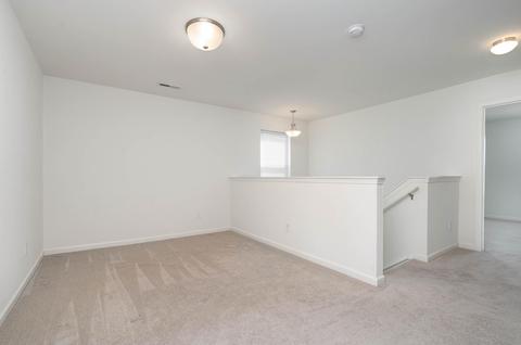 319 Prosperous Path, Locust, NC 28097 photo 24