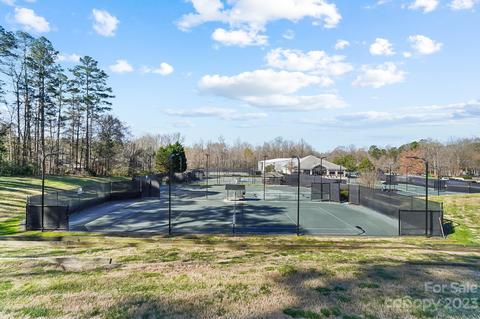 18725 Dembridge Dr, Davidson, NC 28036 photo 41
