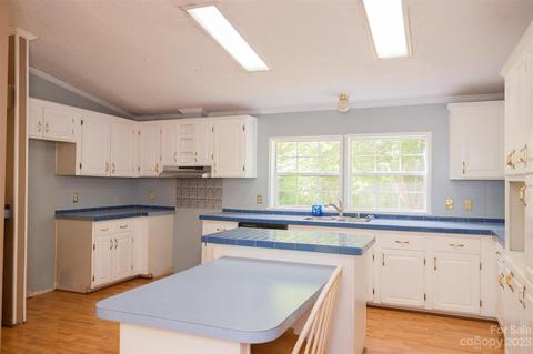 130 Misery Ridge Trl, Mill Spring, NC 28756 photo 9