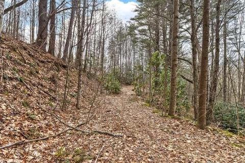 883 Hidden Valley Rd, Clyde, NC 28721 photo 39
