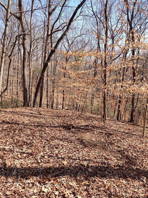 00 Davis St, Marion, NC 28752
