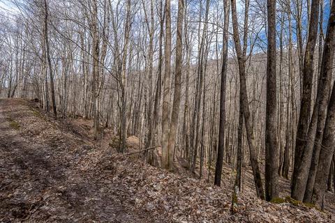Buckeye Ridge 4 Road #4, Beech Mountain, NC 28604