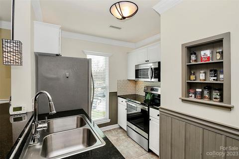 18797 Vineyard Point Ln, Cornelius, NC 28031 photo 18