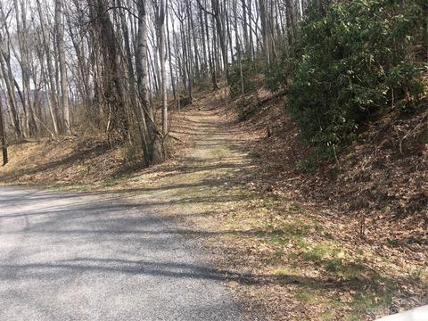 20 Dogwood Dr, Maggie Valley, NC 28751