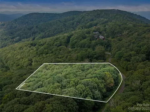 360 Birch Springs 146 Ac Ln #1.46 AC, Mars Hill, NC 28714