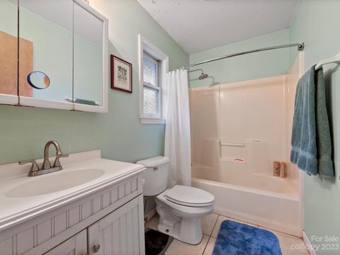 95 Hampton Rd, Brevard, NC 28712 photo 21
