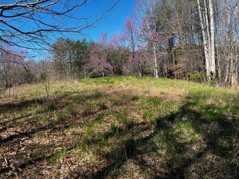 5 Pointe Ln, Mill Spring, NC 28756 photo 6