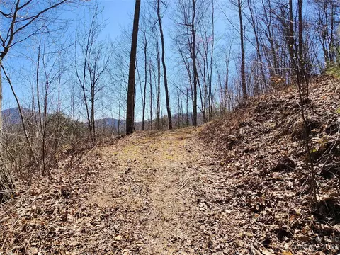 435 Pine Cone Trl, Marshall, NC 28753 photo 31