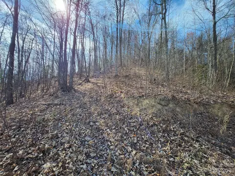 435 Pine Cone Trl, Marshall, NC 28753 photo 32