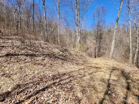 435 Pine Cone Trl, Marshall, NC 28753 photo 33
