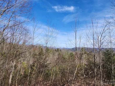 435 Pine Cone Trl, Marshall, NC 28753 photo 2