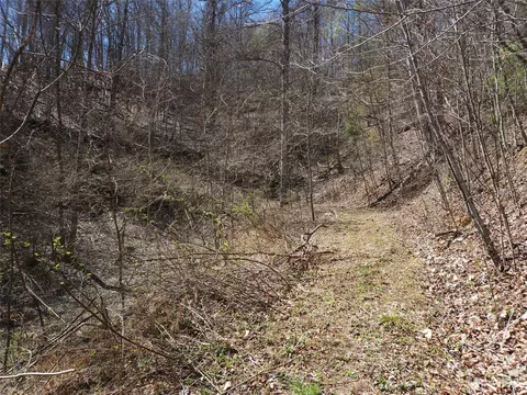 435 Pine Cone Trl, Marshall, NC 28753 photo 26