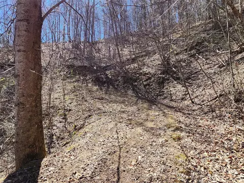 435 Pine Cone Trl, Marshall, NC 28753 photo 28