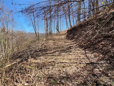 435 Pine Cone Trl, Marshall, NC 28753 photo 29
