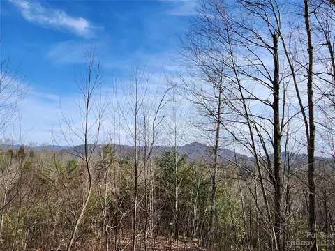 435 Pine Cone Trl, Marshall, NC 28753 photo 3