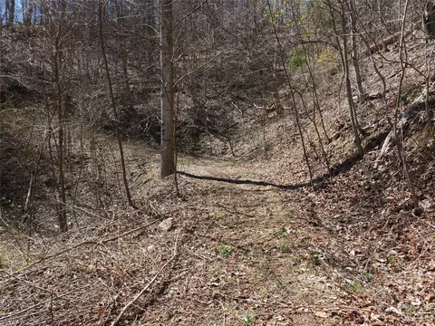435 Pine Cone Trl, Marshall, NC 28753 photo 27