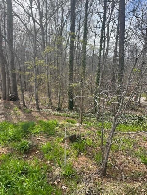 263 Ethel Ln, Statesville, NC 28625