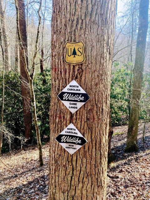 000 Fork Mountain Way, Candler, NC 28715