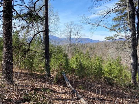 0 Deer Jump Trl #354, Lake Lure, NC 28746