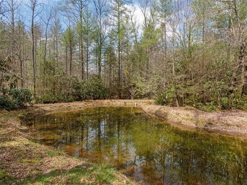 7 Apple Bee Rd, Brevard, NC 28712 photo 8