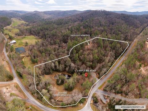 7 Apple Bee Rd, Brevard, NC 28712 photo 11