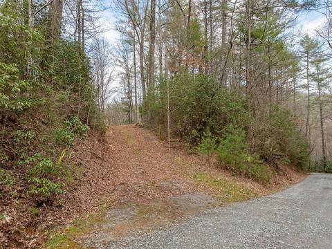 7 Apple Bee Rd, Brevard, NC 28712 photo 17