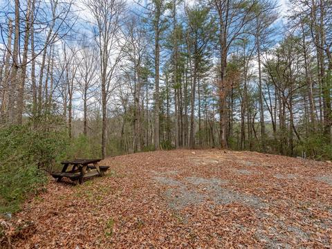 7 Apple Bee Rd, Brevard, NC 28712 photo 18