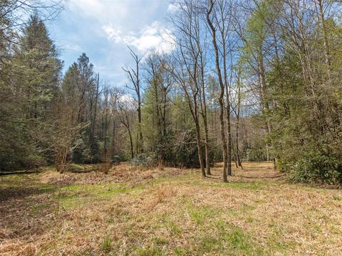 7 Apple Bee Rd, Brevard, NC 28712 photo 5