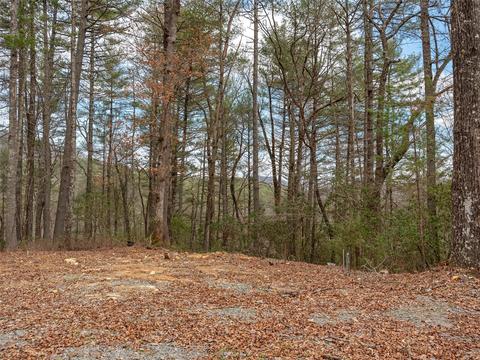 7 Apple Bee Rd, Brevard, NC 28712 photo 19