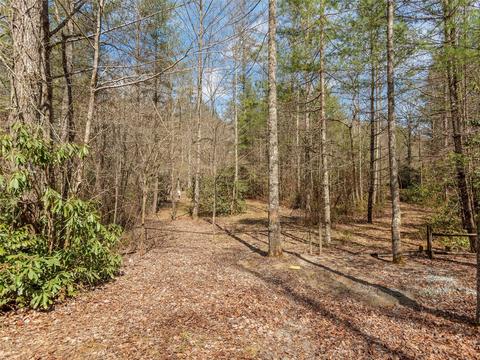 7 Apple Bee Rd, Brevard, NC 28712 photo 4