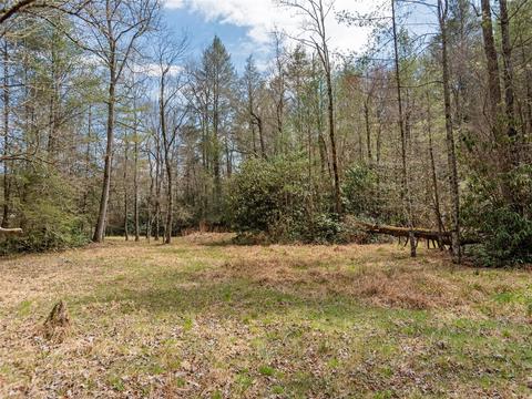 7 Apple Bee Rd, Brevard, NC 28712 photo 7