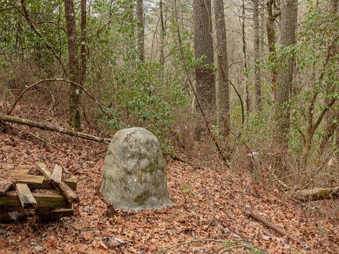 7 Apple Bee Rd, Brevard, NC 28712 photo 20