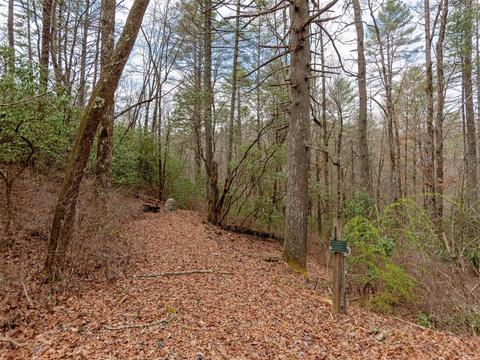 7 Apple Bee Rd, Brevard, NC 28712 photo 21