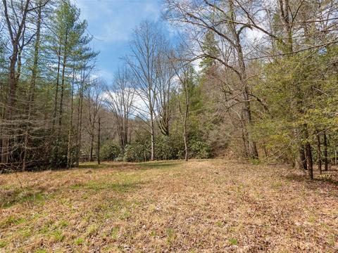 7 Apple Bee Rd, Brevard, NC 28712 photo 6