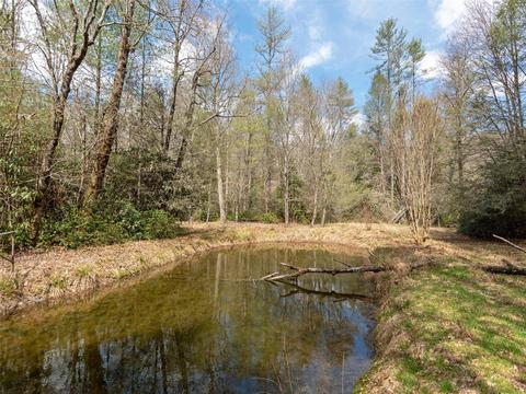 7 Apple Bee Rd, Brevard, NC 28712 photo 9