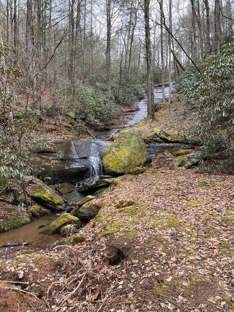 0 Moss Hill Ln, Lake Lure, NC 28139