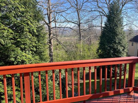 12 E Danbury Ln, Brevard, NC 28712 photo 25