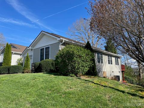 12 E Danbury Ln, Brevard, NC 28712 photo 4