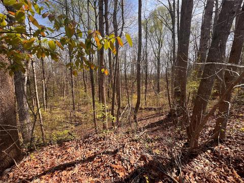 4779 Pennington Meadows Cir, Rock Hill, SC 29732