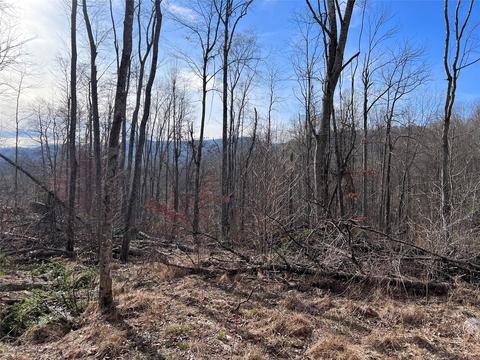000 White Dogwood Ln, Bakersville, NC 28705