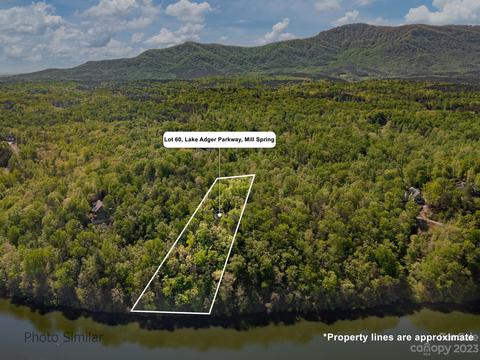 60 Lake Adger Road, Mill Spring, NC 28756