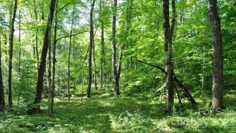 0 Goode Rd, Mooresboro, NC 28114
