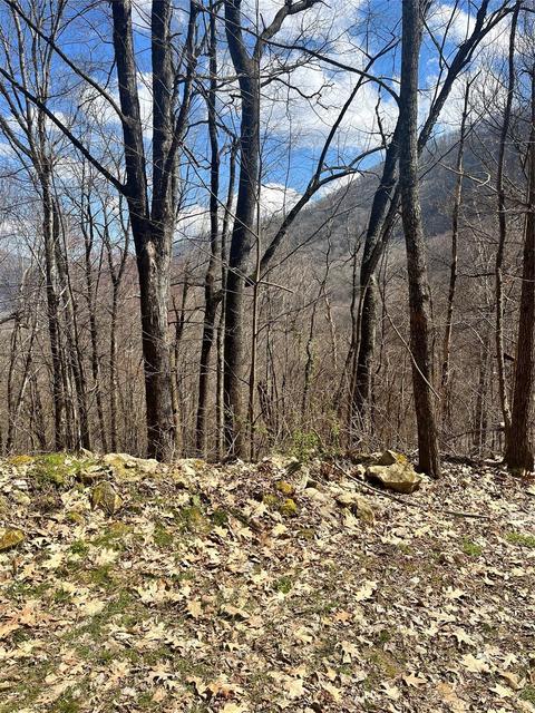 791 Hidden Cove Rd, Maggie Valley, NC 28751
