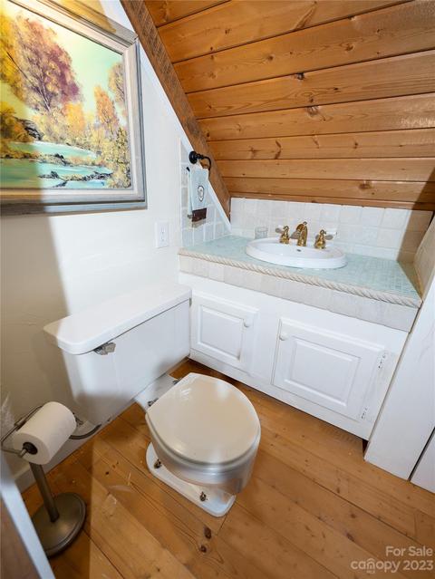 4408 Greenspire Dr, Sylva, NC 28779 photo 12
