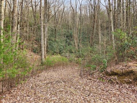 0 Trillium Ln #17, Rosman, NC 28772