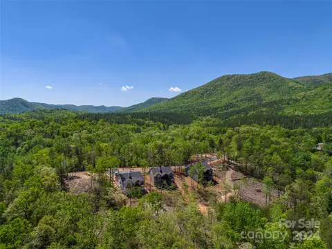 View/Area - 87 Jackson Ridge 4 Ln #4, Mill Spring, NC 28756 photo 5 of 6