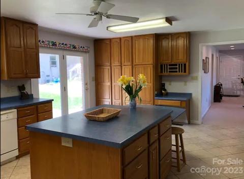 2800 Coxe Rd, Tryon, NC 28782 photo 14