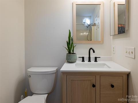 56 E Chippendale Dr, Mills River, NC 28759 photo 21