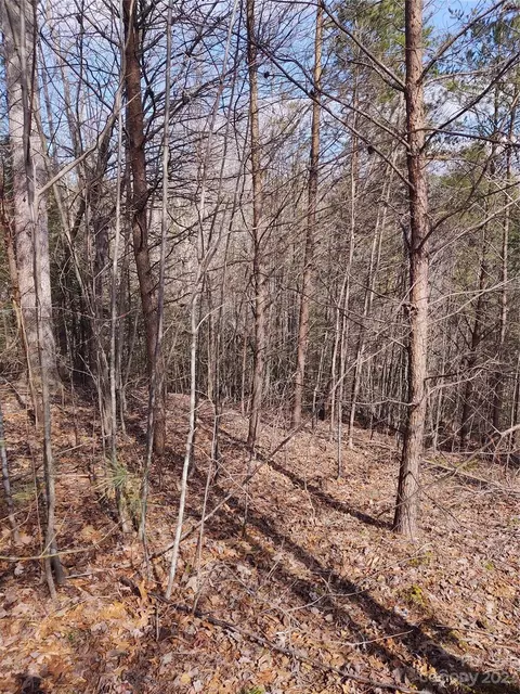 2 Riverview Forest 2 Dr #2, Marion, NC 28752