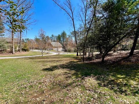 Cadence Circle, Brevard, NC 28712 photo 3